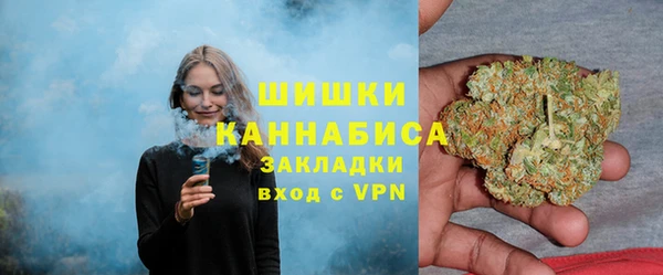 твердый Вяземский