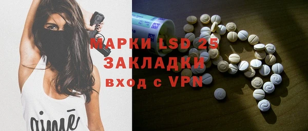 твердый Вяземский