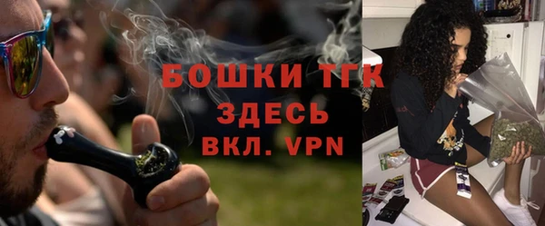 твердый Вяземский