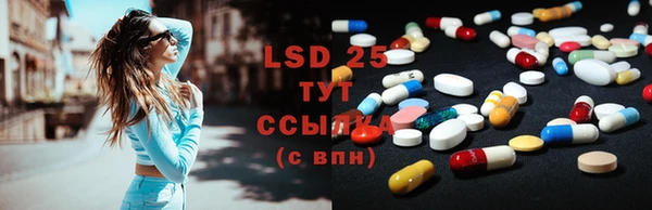 твердый Вяземский