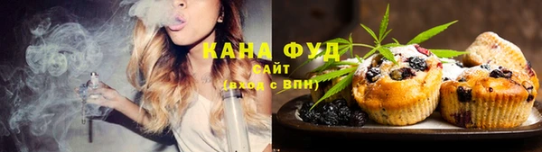 твердый Вяземский