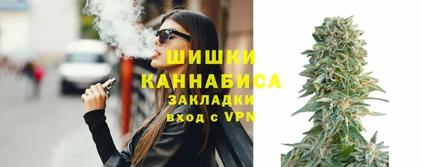 твердый Вяземский
