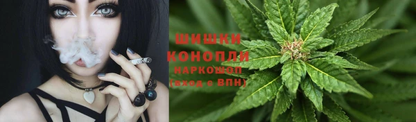 spice Вязники
