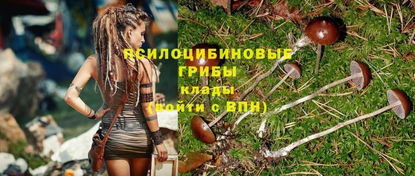 твердый Вяземский