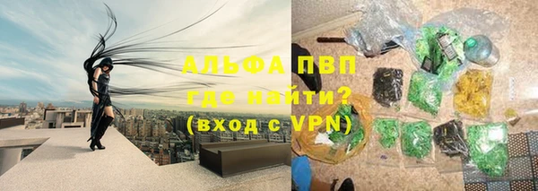твердый Вяземский