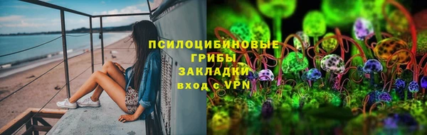 твердый Вяземский
